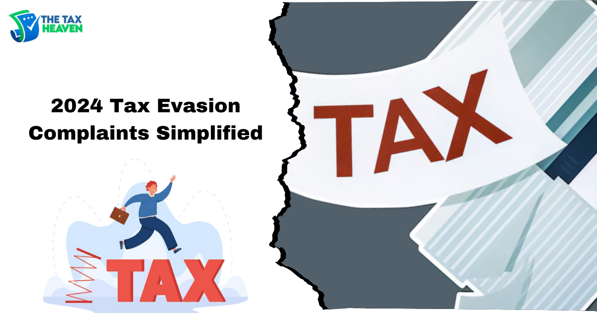 2024 Tax Evasion Complaints Simplified